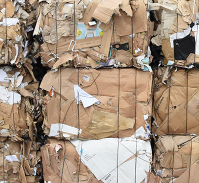 Cardboard Waste